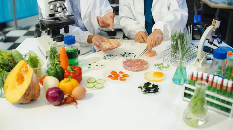 Productontwikkelaar in de voeding