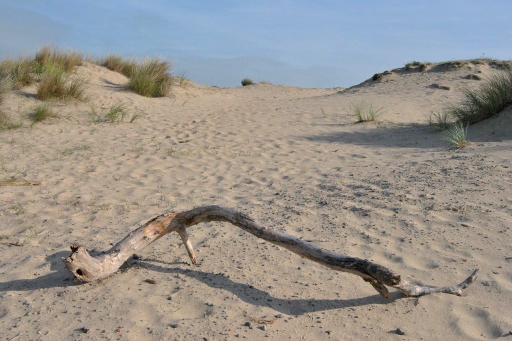 Regiogids kust