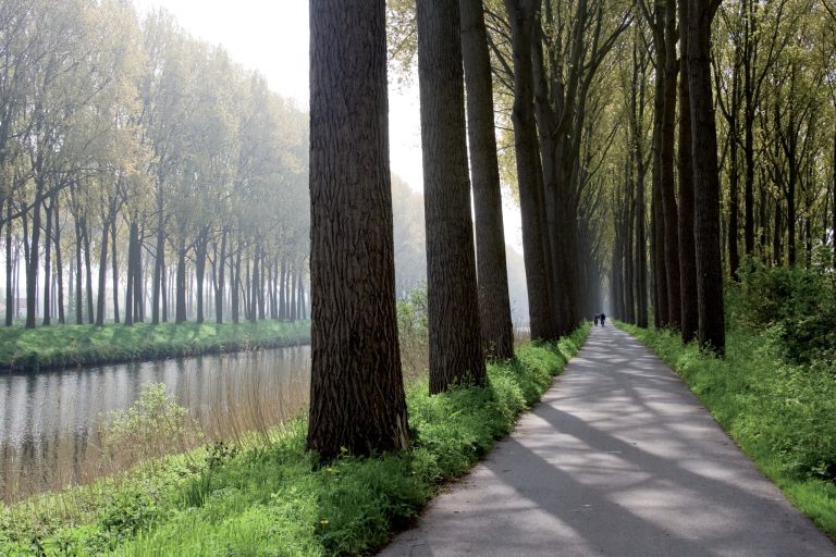 Regiogids Leiestreek