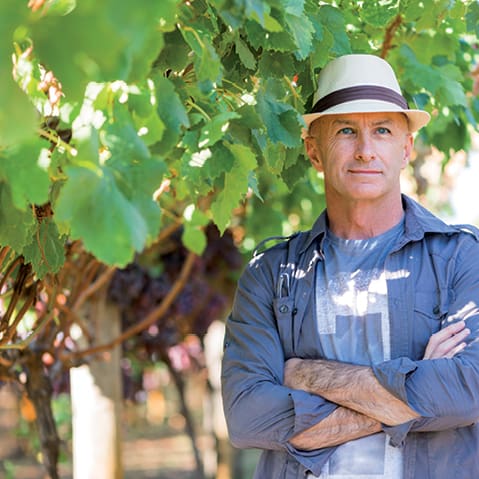 Syntra opleiding wijnbouwer