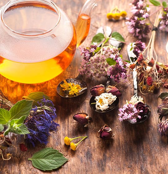 Syntra opleiding herborist