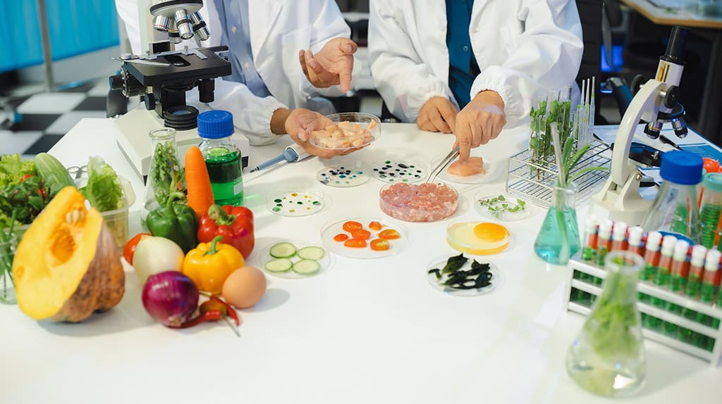 Productontwikkelaar in de voeding