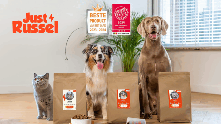 Syntra: Het nieuwe verdienen: case Just Russel